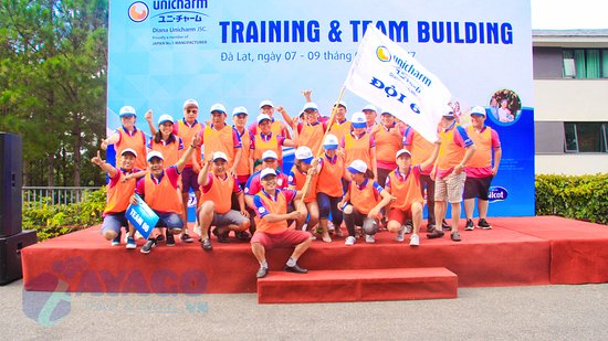 Tổ chức team building - Công ty tổ chức team building chất lượng tại TP.HCM